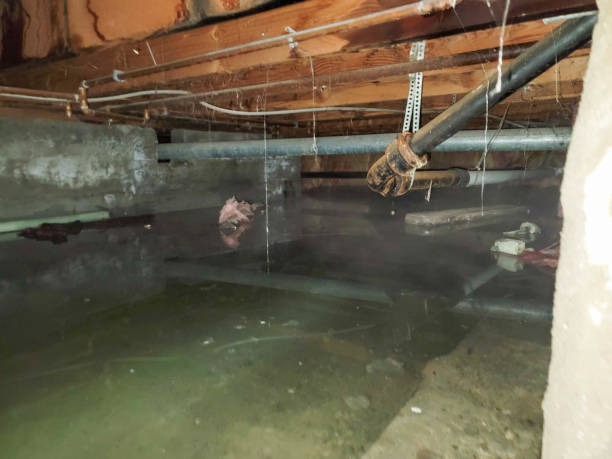 Carpet water damage restoration in Fairview Ferndale, PA