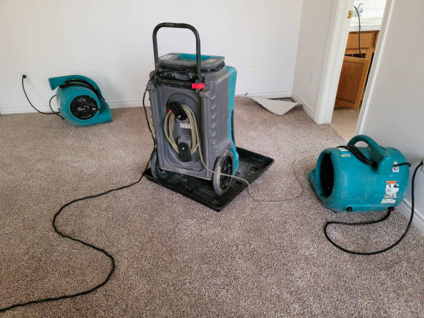 Best Water damage cleanup near me  in Fairview Ferndale, PA