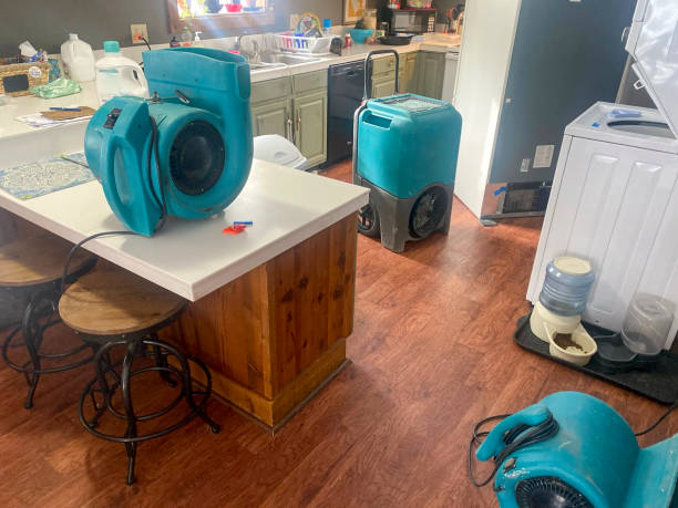 Best Flood damage cleanup  in Fairview Ferndale, PA