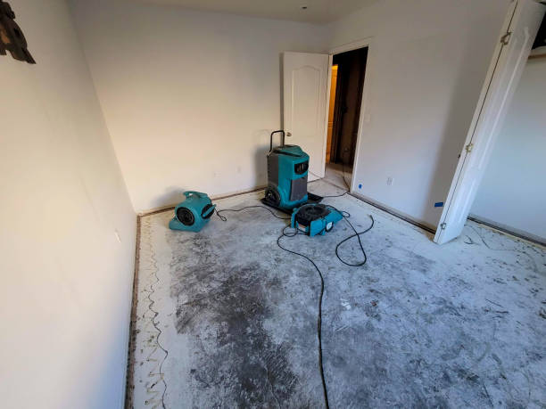 Best Carpet water damage restoration  in Fairview Ferndale, PA