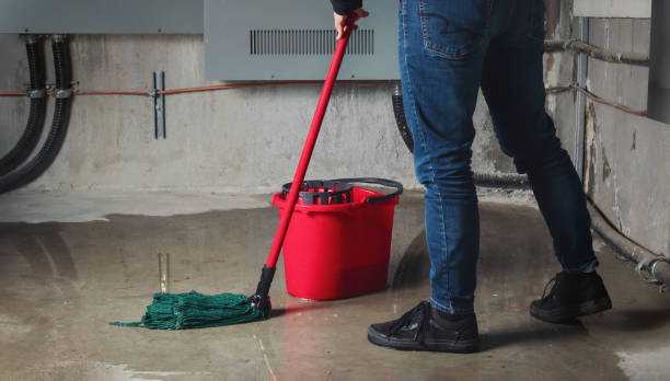 Best Professional water damage repair  in Fairview Ferndale, PA
