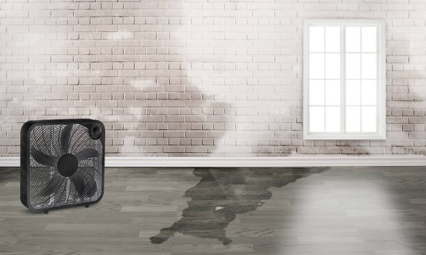 Local water damage restoration in Fairview Ferndale, PA