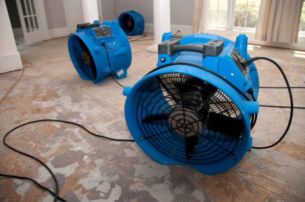 Best 24-hour water damage restoration  in Fairview Ferndale, PA