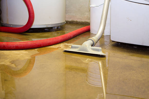 Best Residential water damage restoration  in Fairview Ferndale, PA