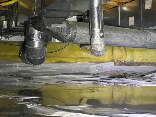 Best Local water damage restoration  in Fairview Ferndale, PA