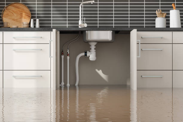 Reliable Fairview Ferndale, PA Water damage restoration Solutions